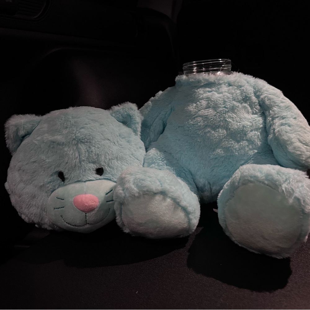 Blue cat stashimal